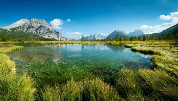 Les campings au bord de mer en Vendée : votre échappée belle
