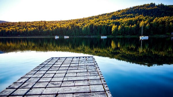 Explore avsa in geneva: votre guide sur la sensibilisation environnementale