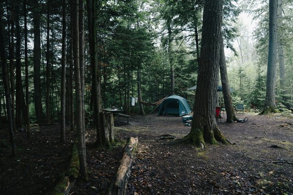 Venez profiter d'un séjour nature au camping de Blois